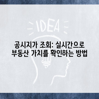 공시지가 조회: 실시간으로 부동산 가치를 확인하는 방법