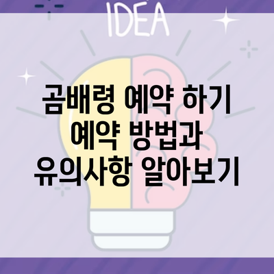 곰배령 예약 하기 예약 방법과 유의사항 알아보기