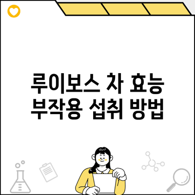 루이보스 차 효능 부작용 섭취 방법