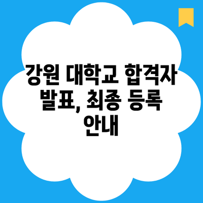 강원 대학교 합격자 발표, 최종 등록 안내