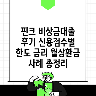 핀크 비상금대출 후기 신용점수별 한도 금리 월상환금 사례 총정리