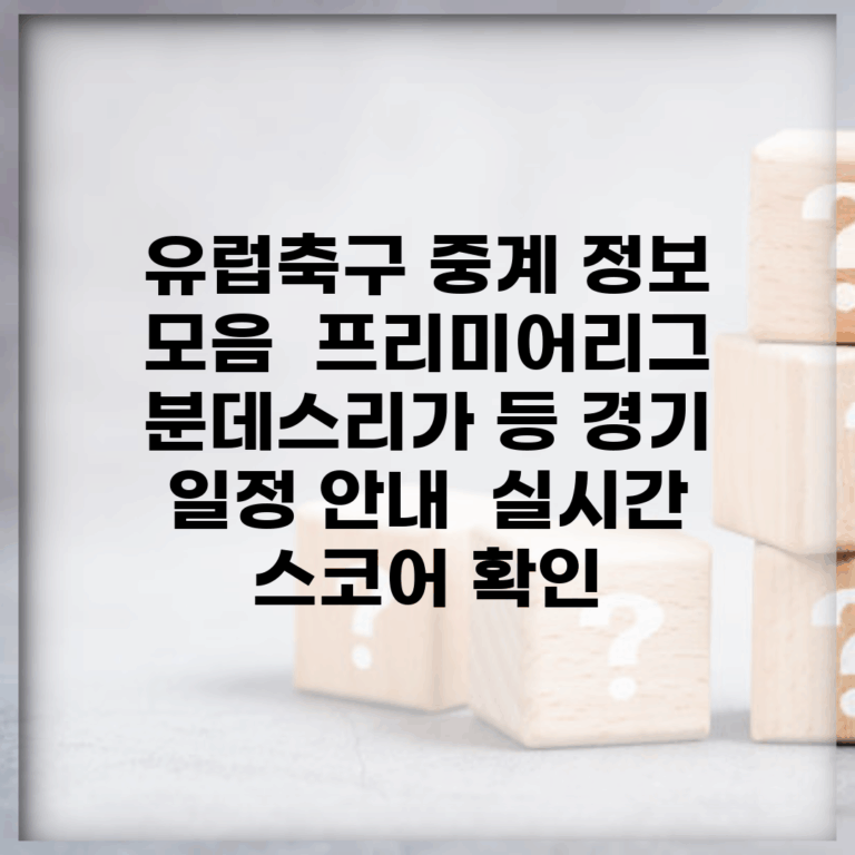유럽축구 중계 정보 모음 | 프리미어리그, 분데스리가 등 경기 일정 안내 | 실시간 스코어 확인