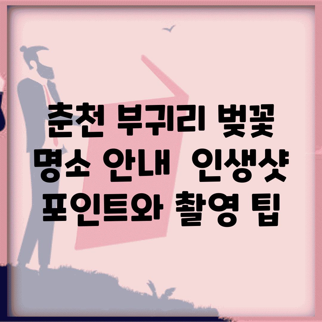춘천 부귀리 벚꽃 명소 안내 | 인생샷 포인트와 촬영 팁