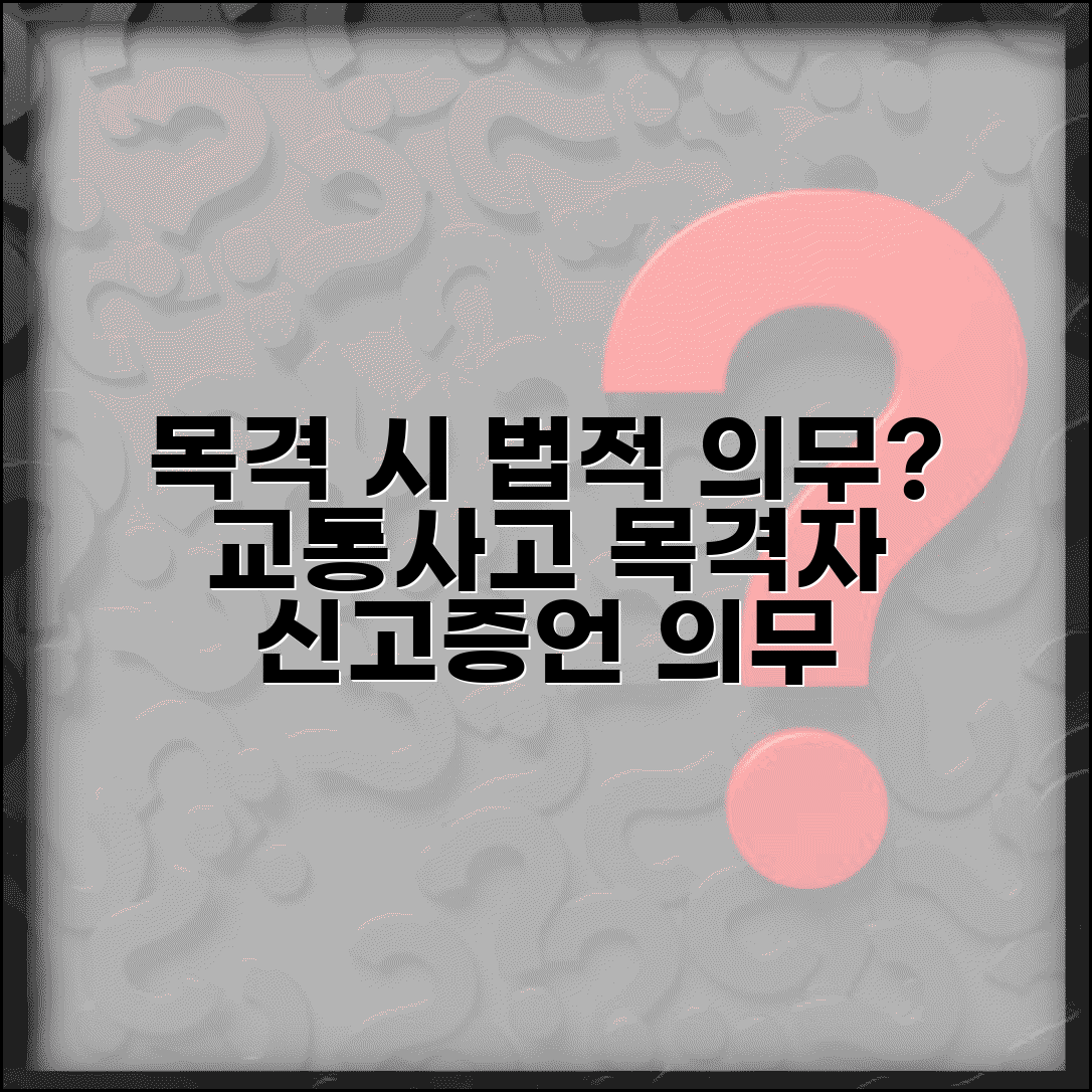 교통사고 목격자 되면 법적 의무 있나요 | 교통사고 목격 | 증언 의무 | 신고 의무 | 법적 책임 | 도덕적 의무