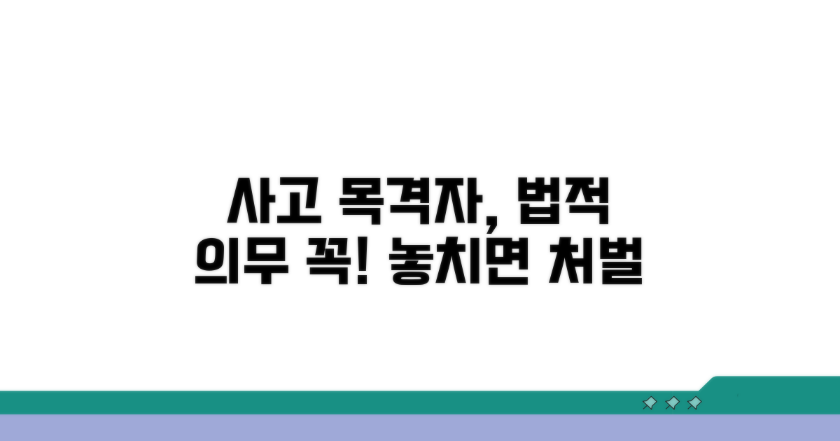교통사고 목격자 법적 의무
