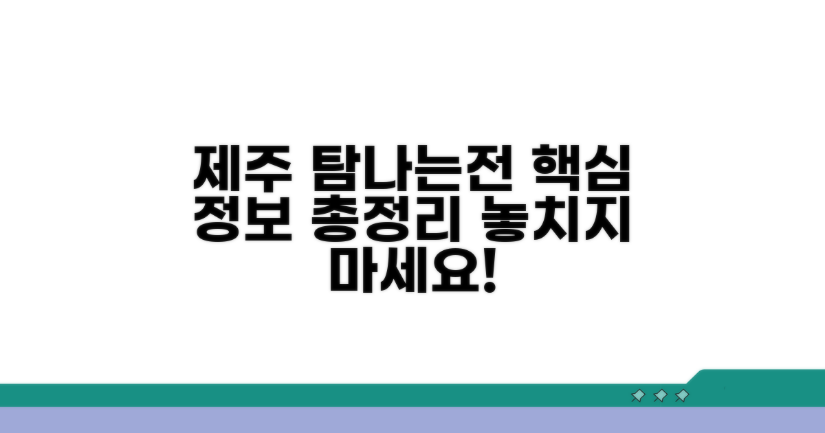 제주 탐나는전 핵심 정보