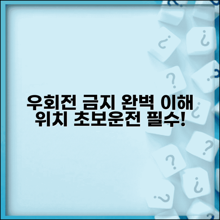 우회전 금지 표지판 의미 위치 | 우회전 금지 구간 완벽 인식 가이드