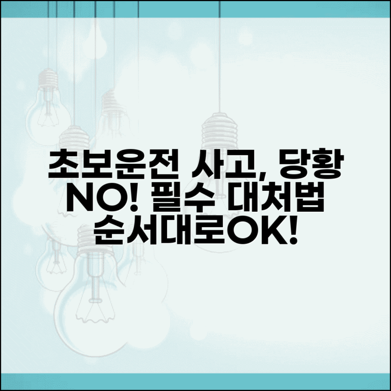 초보운전자 사고 대처법 | 운전 초보자 사고 발생시 당황하지 않는 처리 순서 초보운전자 사고 대처법 | 운전 초보자 사고 발생시 당황하지 않는 처리 순서