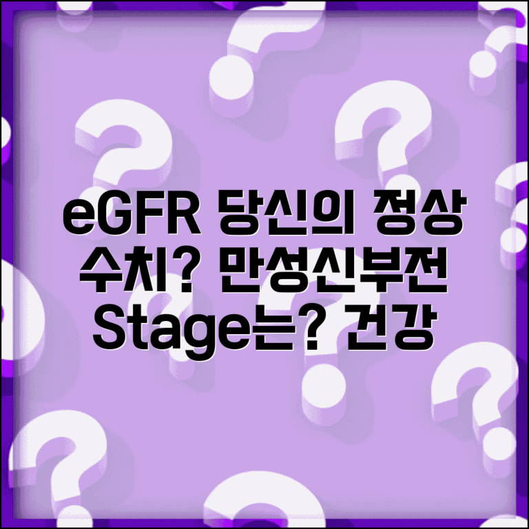 사구체여과율 정상 수치 eGFR | eGFR 수치 만성신부전 단계