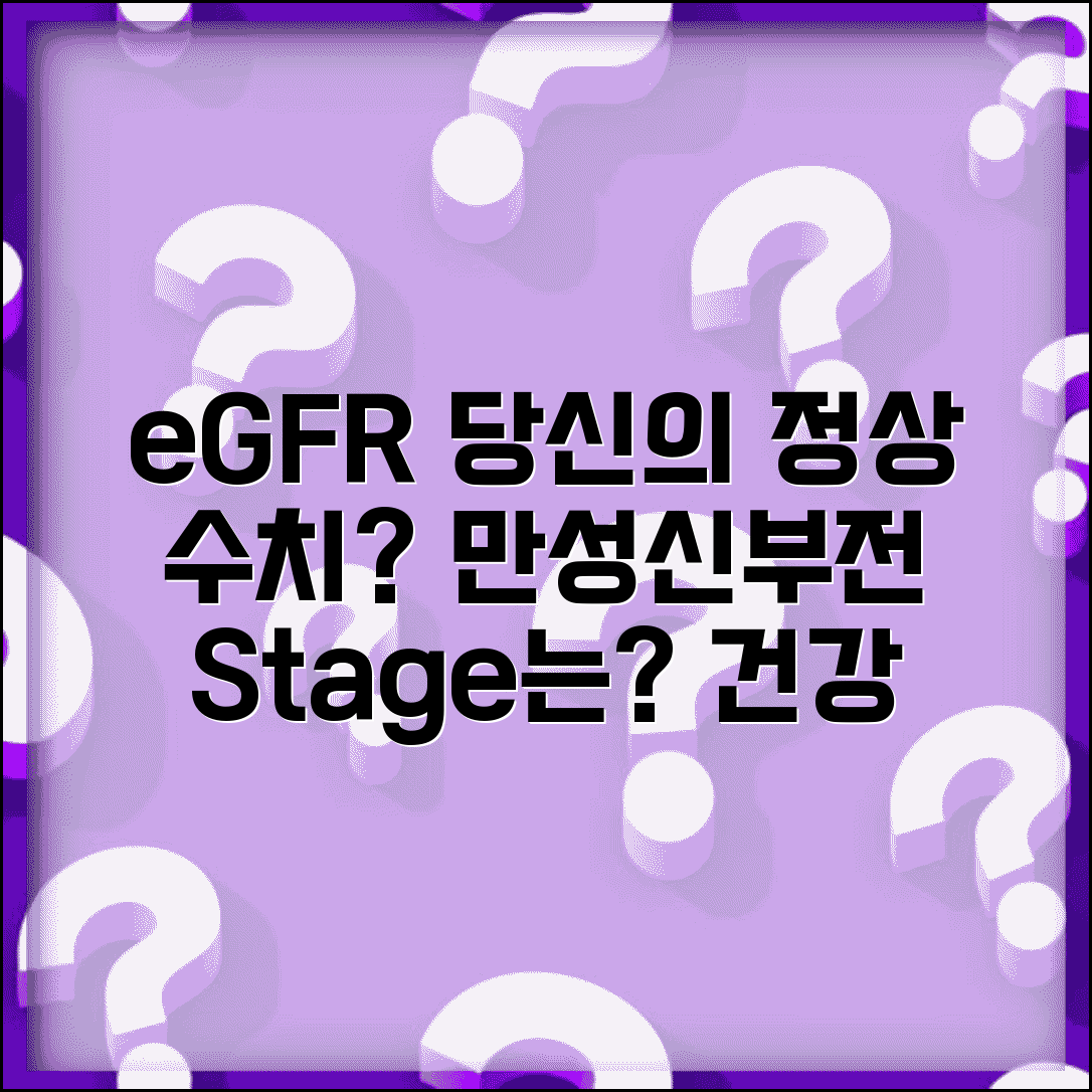 사구체여과율 정상 수치 eGFR | eGFR 수치 만성신부전 단계