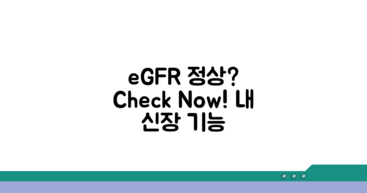 내 eGFR 수치, 정상 범위일까? 확인 방법