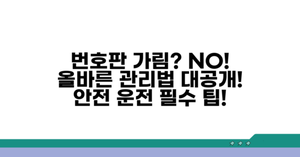 번호판 가림 예방 및 올바른 관리법