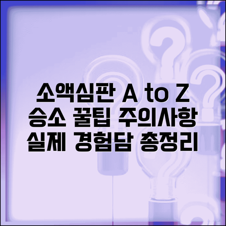 소액심판청구 디시 실제 경험담 | 질문답변 총정리 및 승소 노하우 | 주의사항 필독
